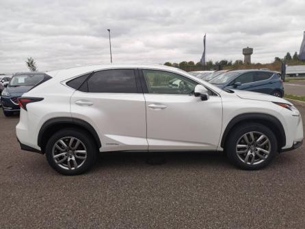 LEXUS NX 300h 4WD Luxe à vendre à Montargis - Image n°4