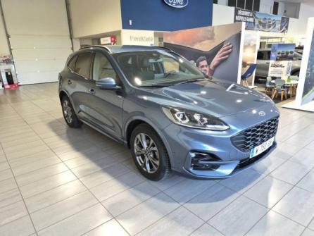 FORD Kuga 2.0 EcoBlue 120ch ST-Line X Powershift à vendre à Chaumont - Image n°3