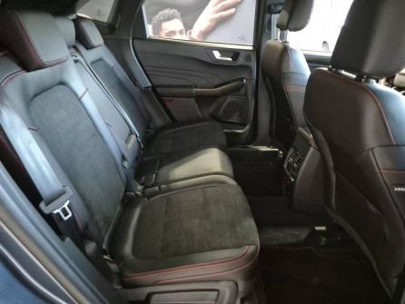FORD Kuga 2.0 EcoBlue 120ch ST-Line X Powershift à vendre à Chaumont - Image n°12